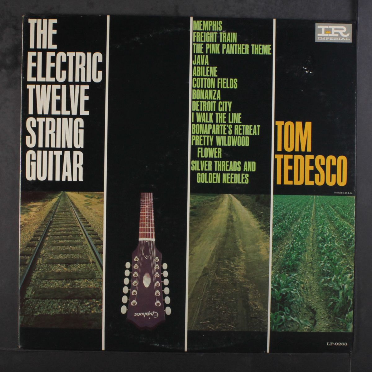 the electric twelve string guitar by TOM TEDESCO