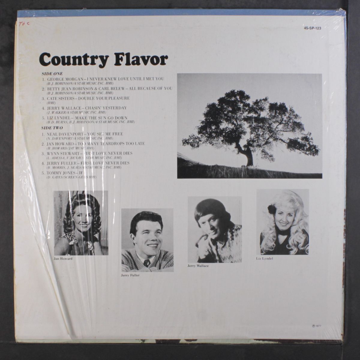 country flavor by VARIOUS