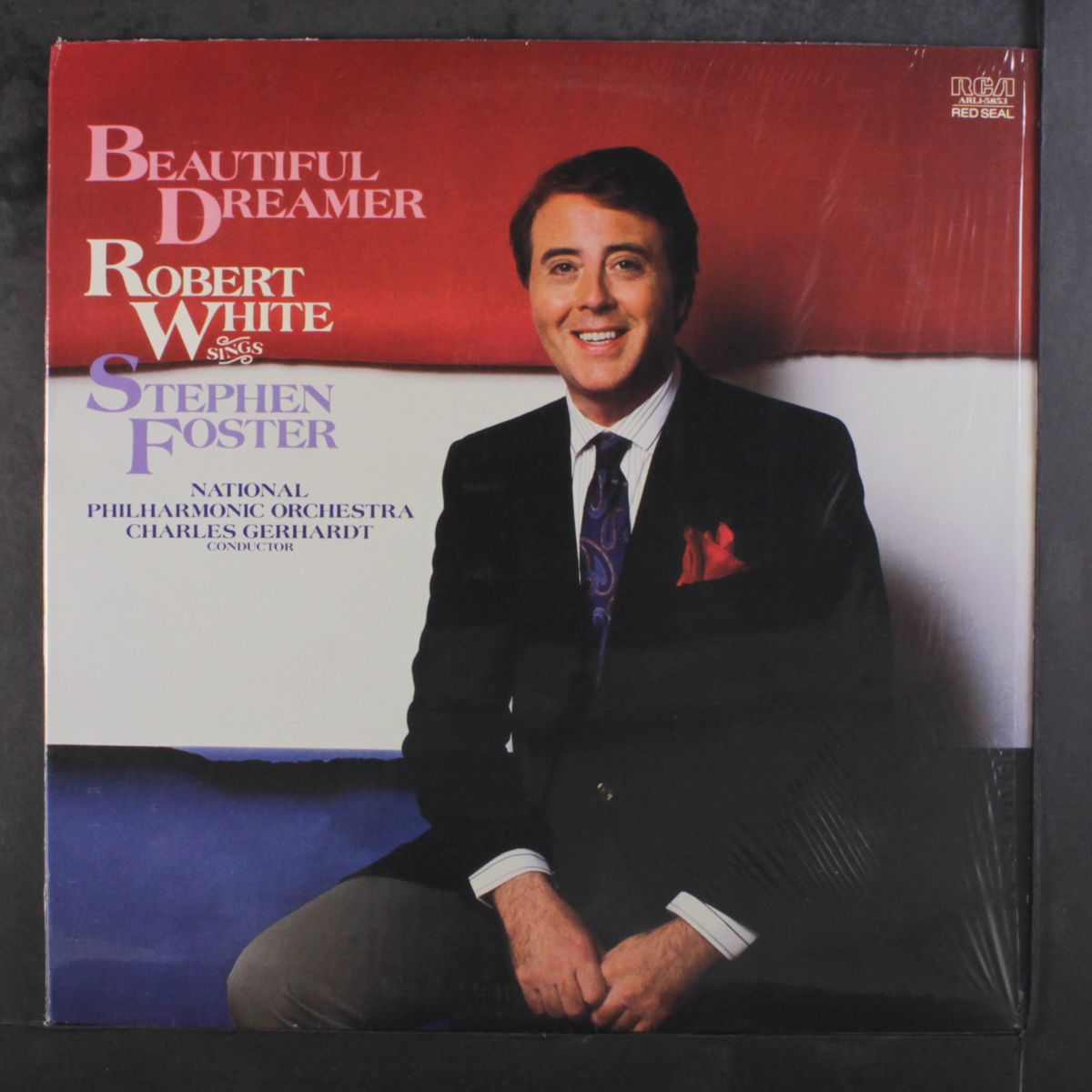 beautiful dreamer by ROBERT WHITE