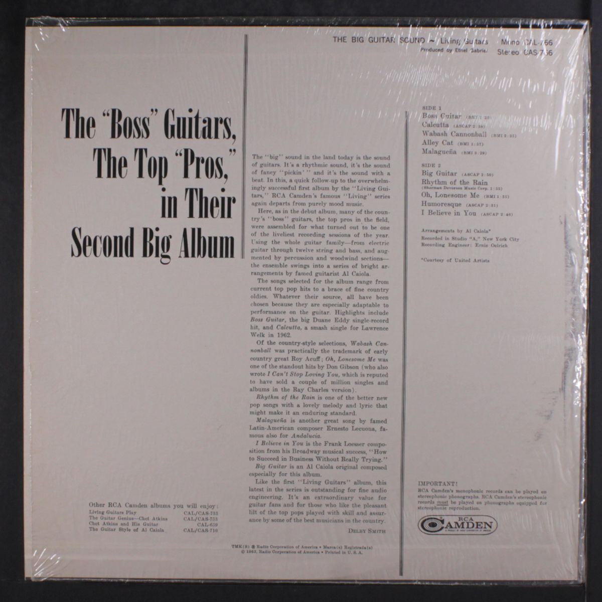 the big guitar sound by LIVING GUITARS