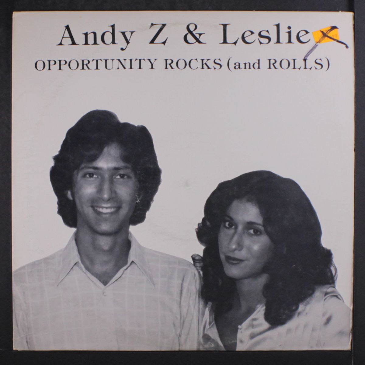 opportunity rocks by ANDY Z & LESLIE