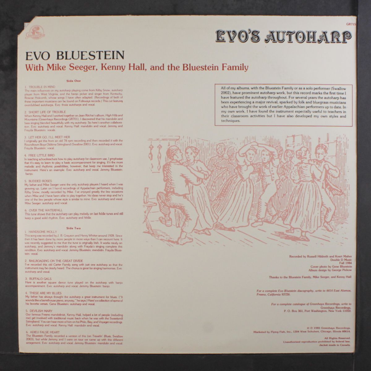 evo's autoharp by EVO BLUESTEIN