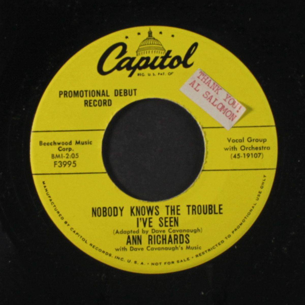 nobody knows the trouble i've seen / i'd do it all again by ANN RICHARDS