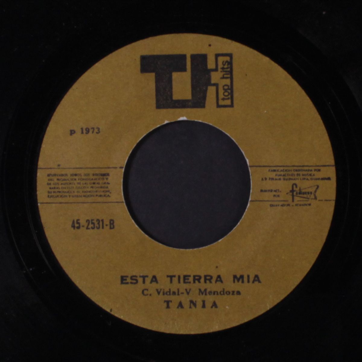 esta tierra mia / playas de mi tierra by TANIA
