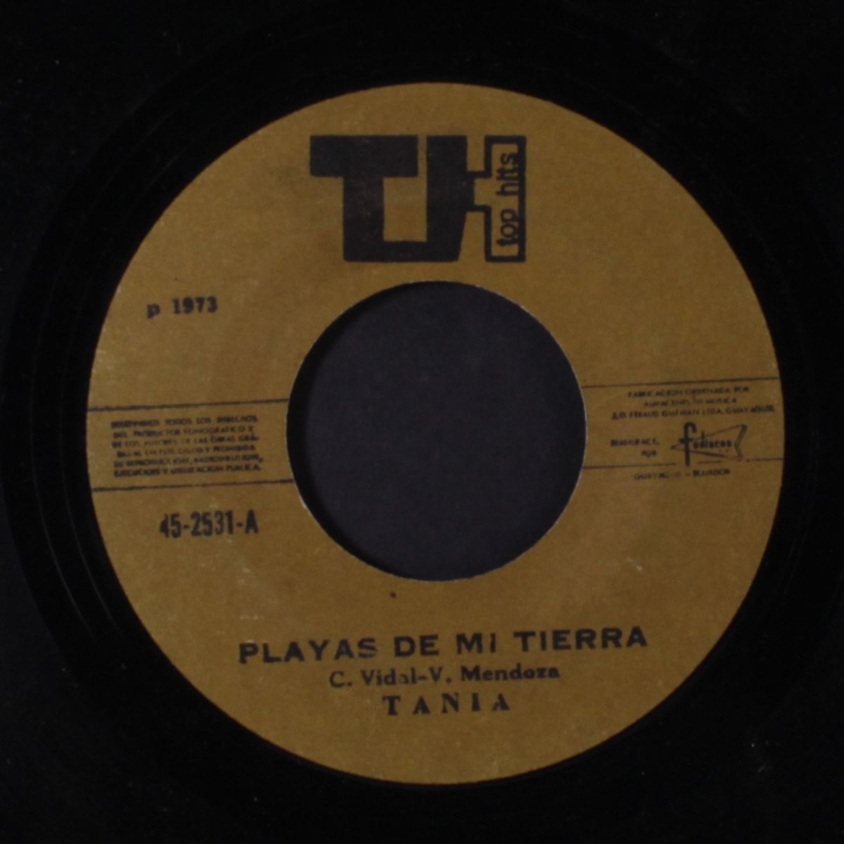 esta tierra mia / playas de mi tierra by TANIA