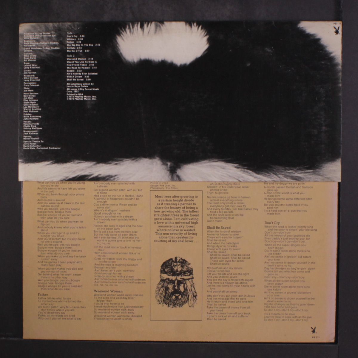 under the skunk by LAURIE KAYE COHEN