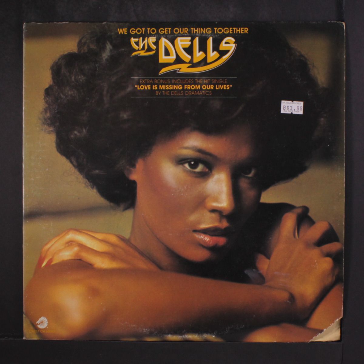 we got to get our thing together by DELLS