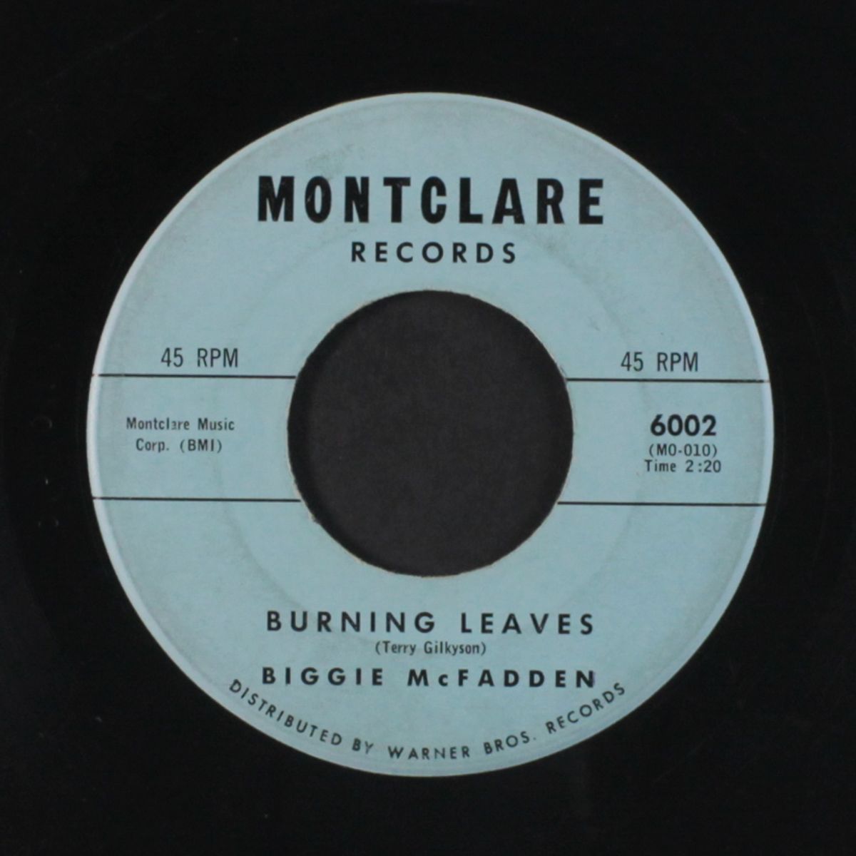 burning leaves / blue mountain by BIGGIE MCFADDEN