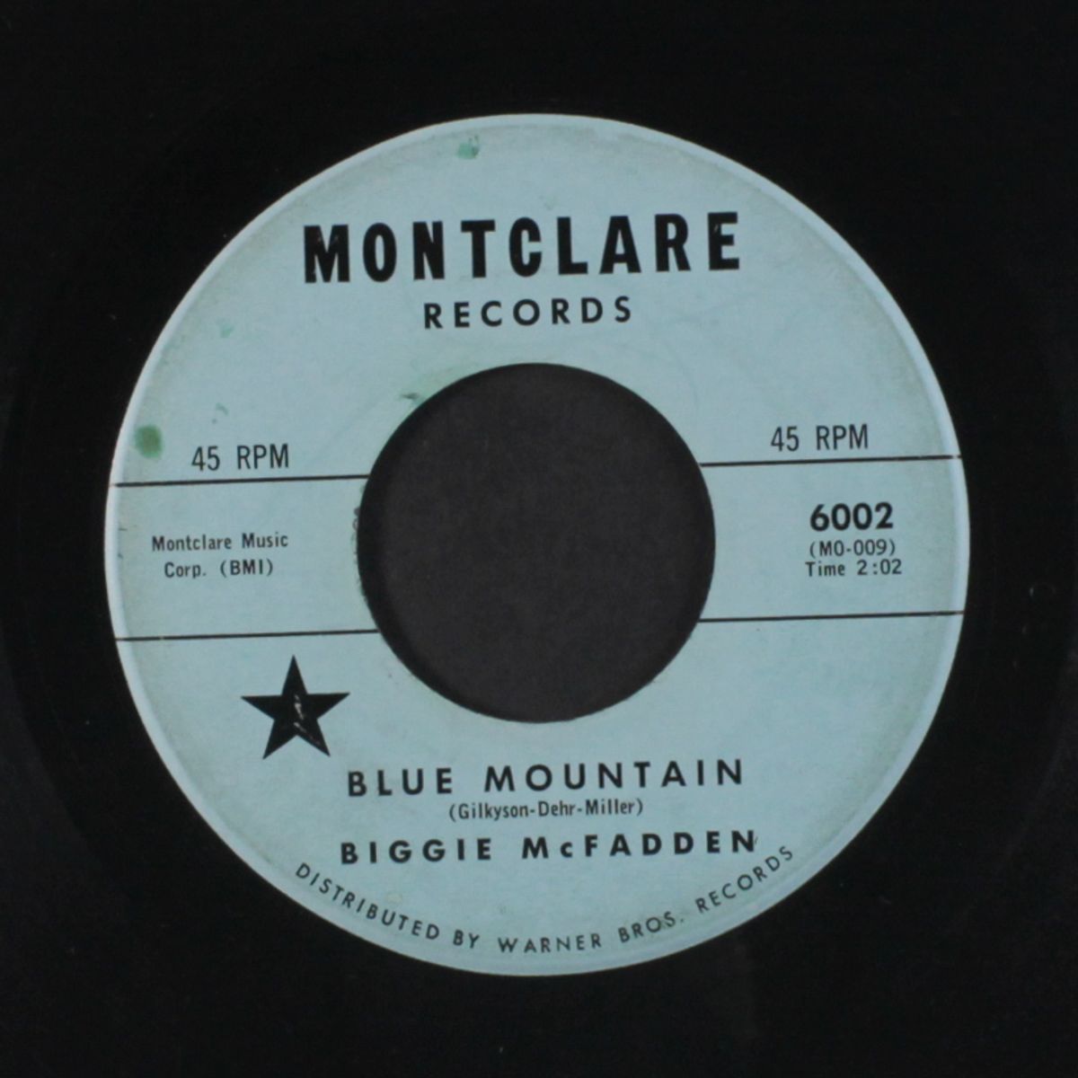 burning leaves / blue mountain by BIGGIE MCFADDEN