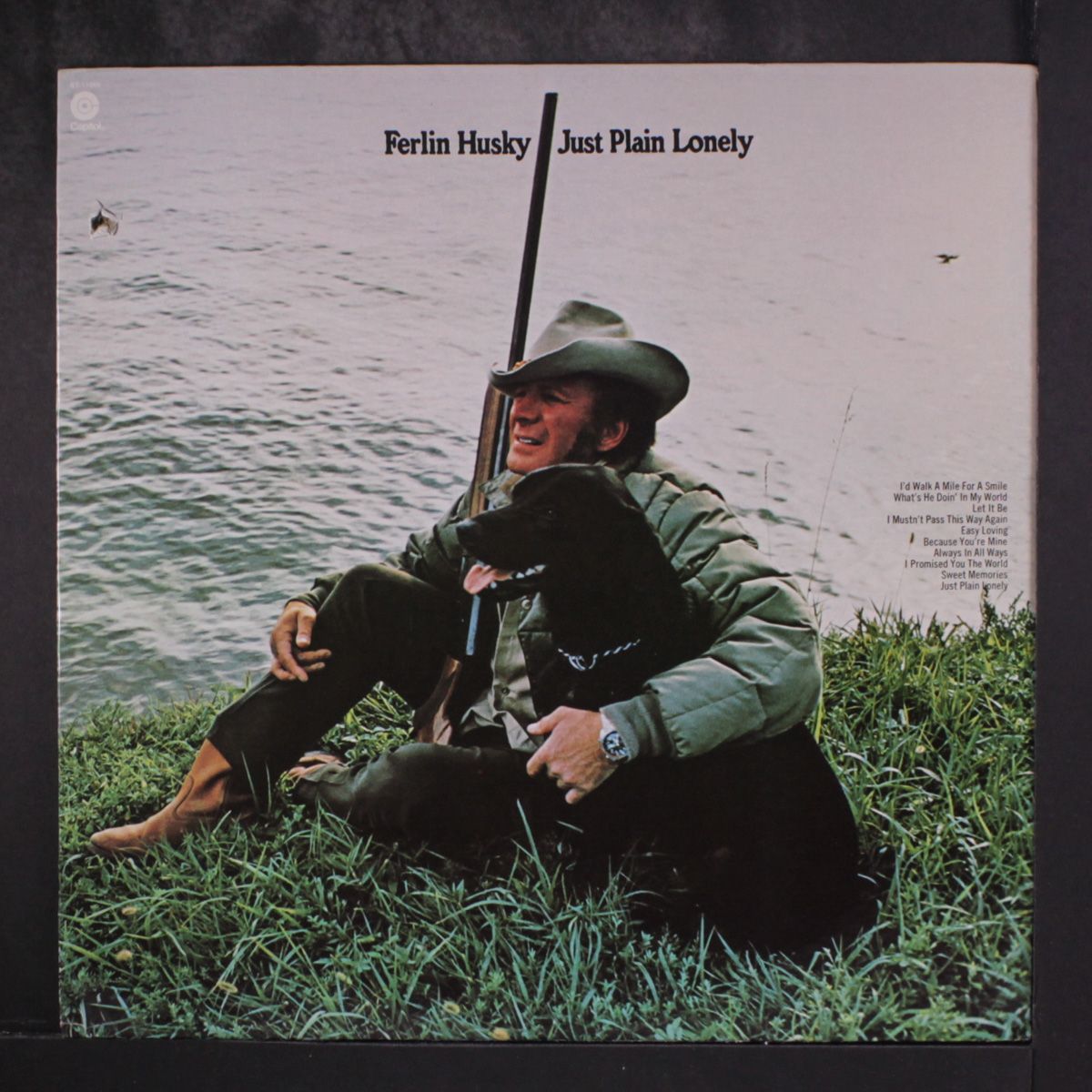just plain lonely by FERLIN HUSKY