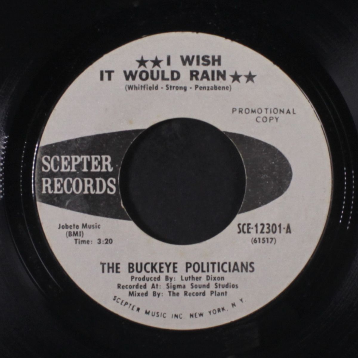 girl i could love you more / i wish it would rain by BUCKEYE POLITICIANS