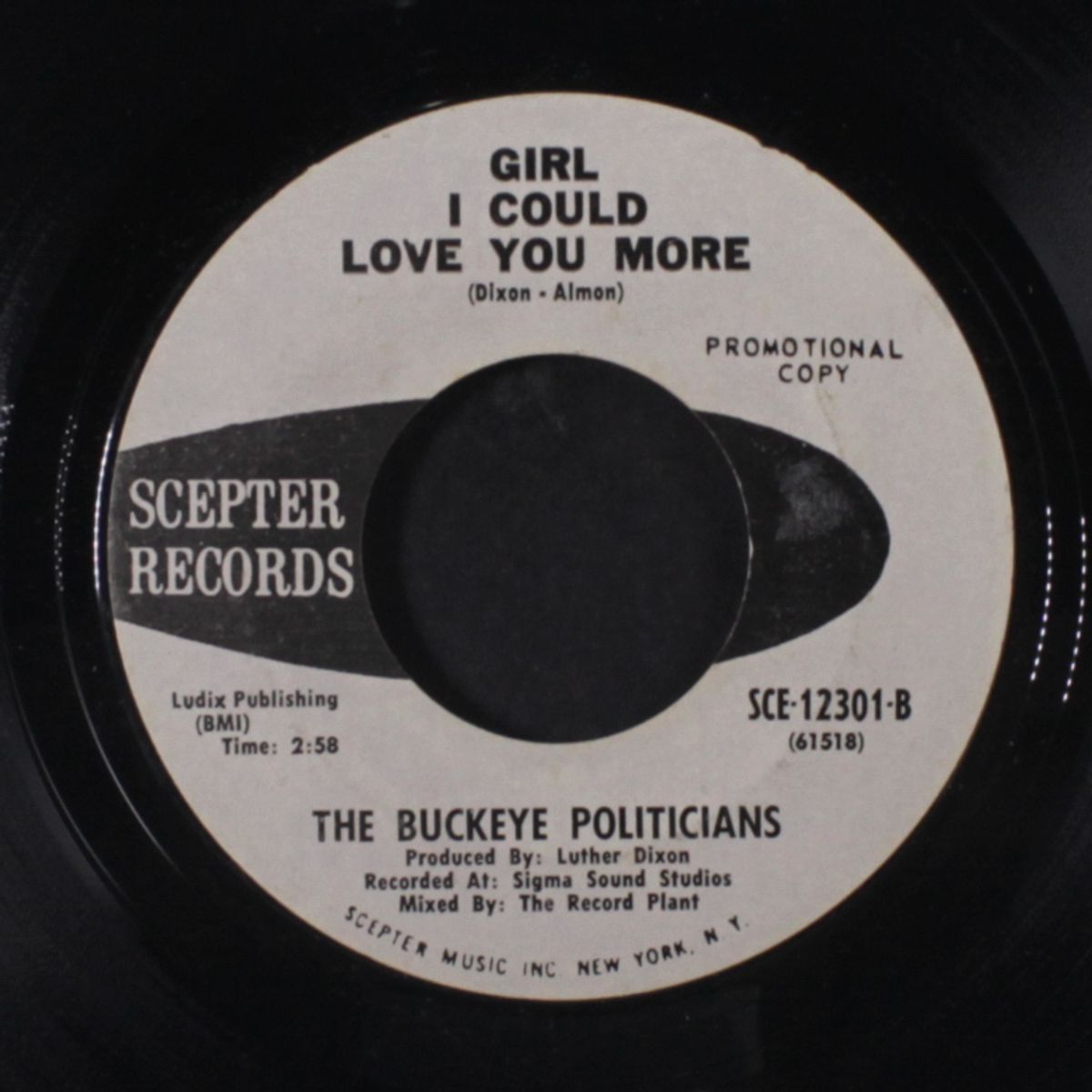 girl i could love you more / i wish it would rain by BUCKEYE POLITICIANS