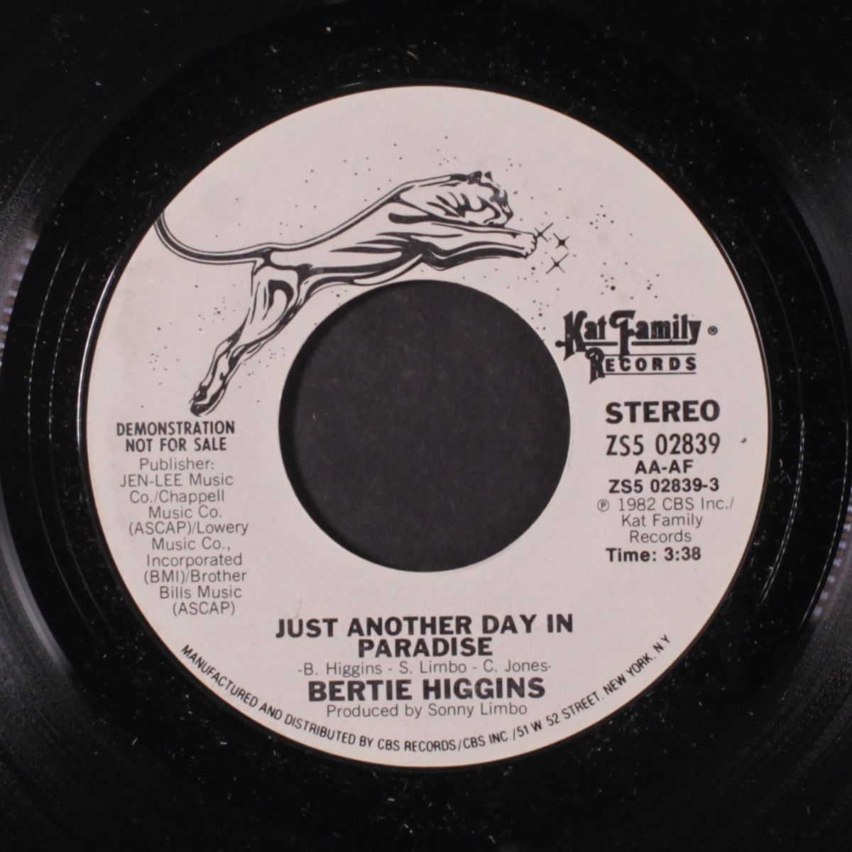 just another day in paradise / mono by BERTIE HIGGINS