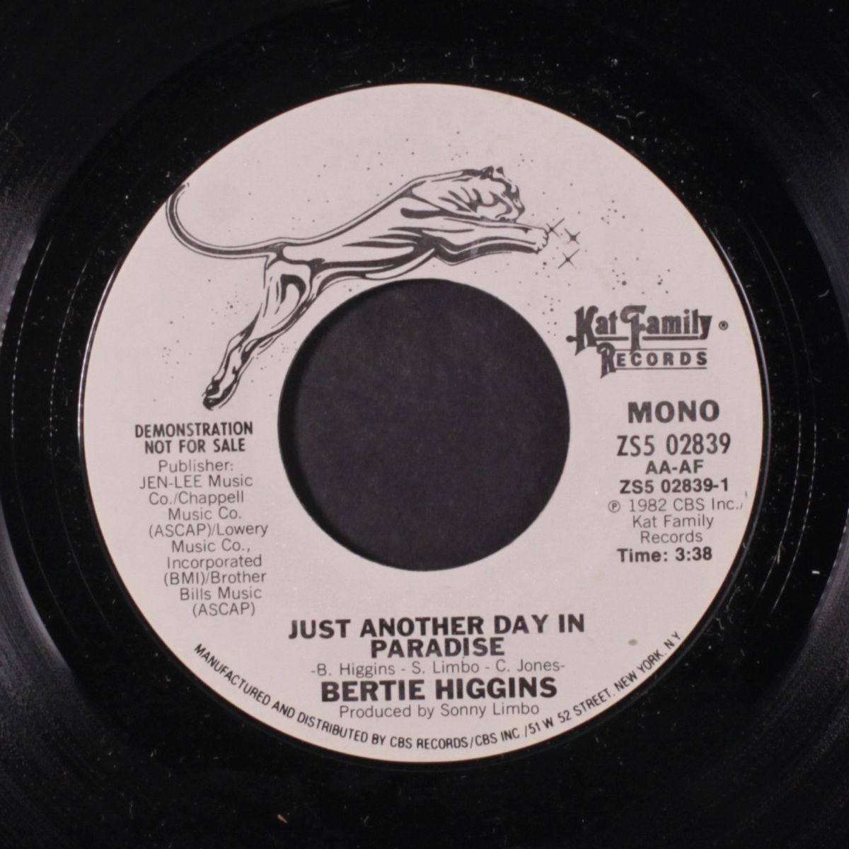 just another day in paradise / mono by BERTIE HIGGINS