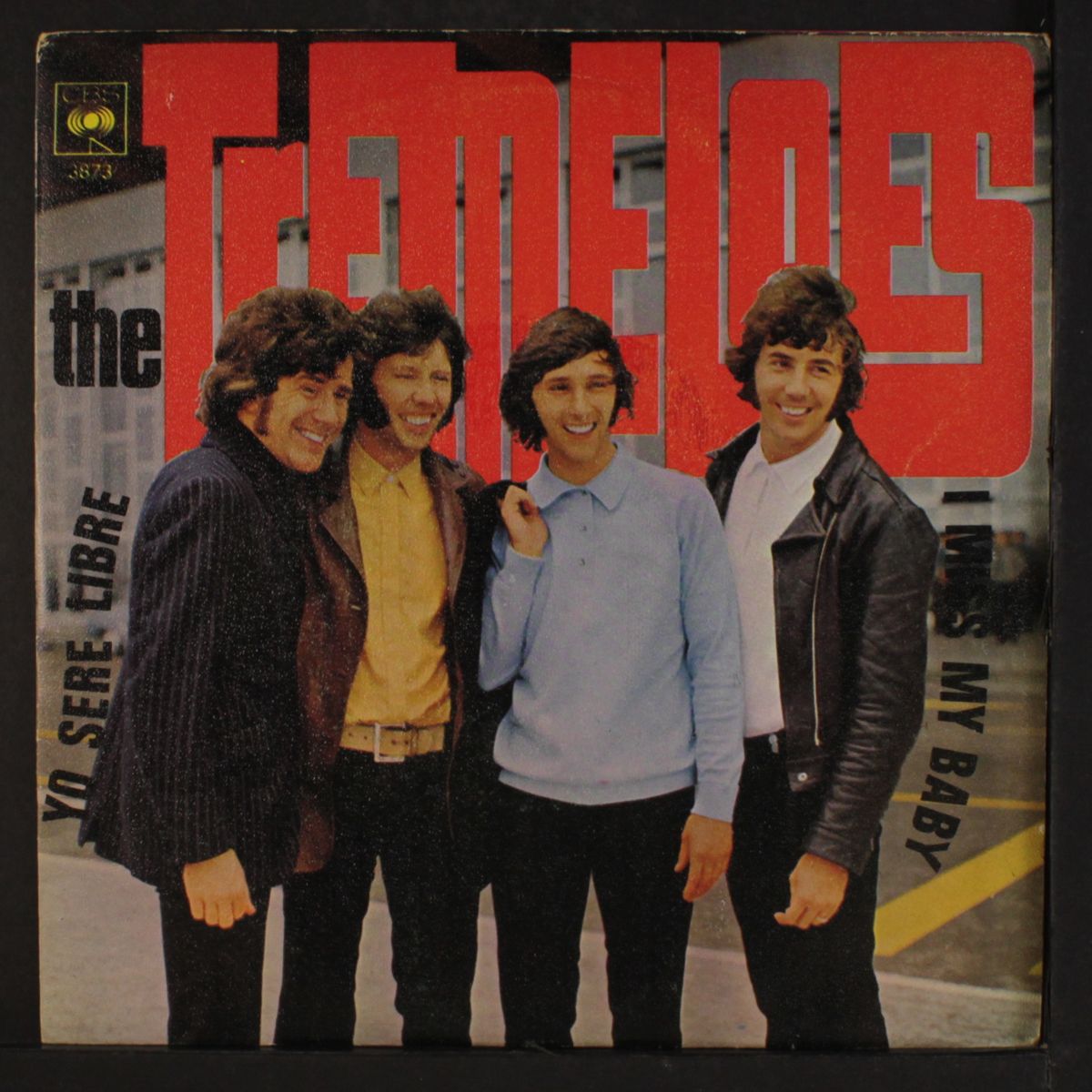 i shall be released / i miss my baby by TREMELOES