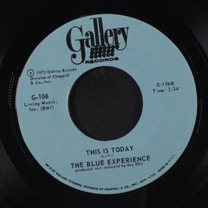 BLUE EXPERIENCE