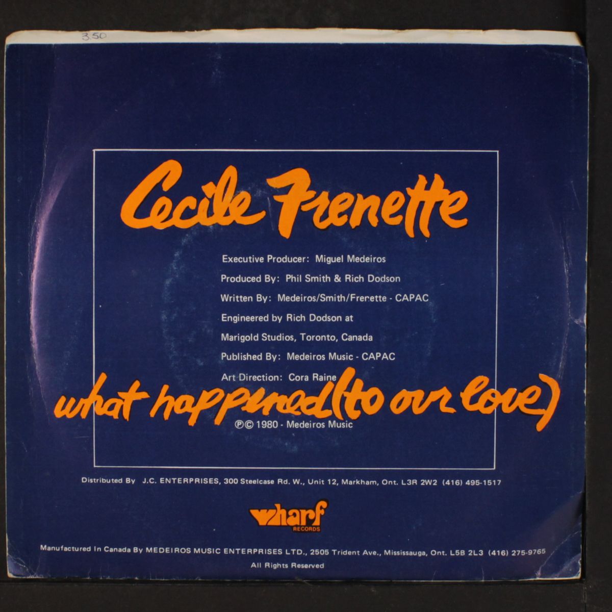 what happened (to our love) by CECILE FRENETTE