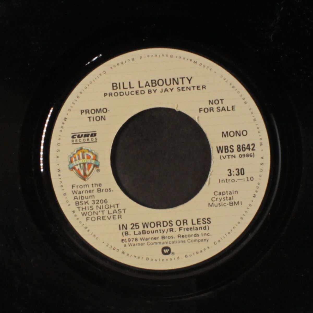 in 25 words or less / mono by BILL LABOUNTY