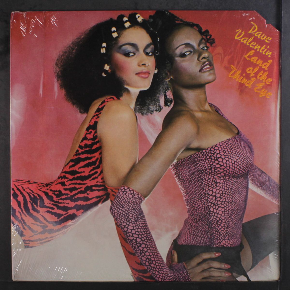 land of the third eye by DAVE VALENTIN