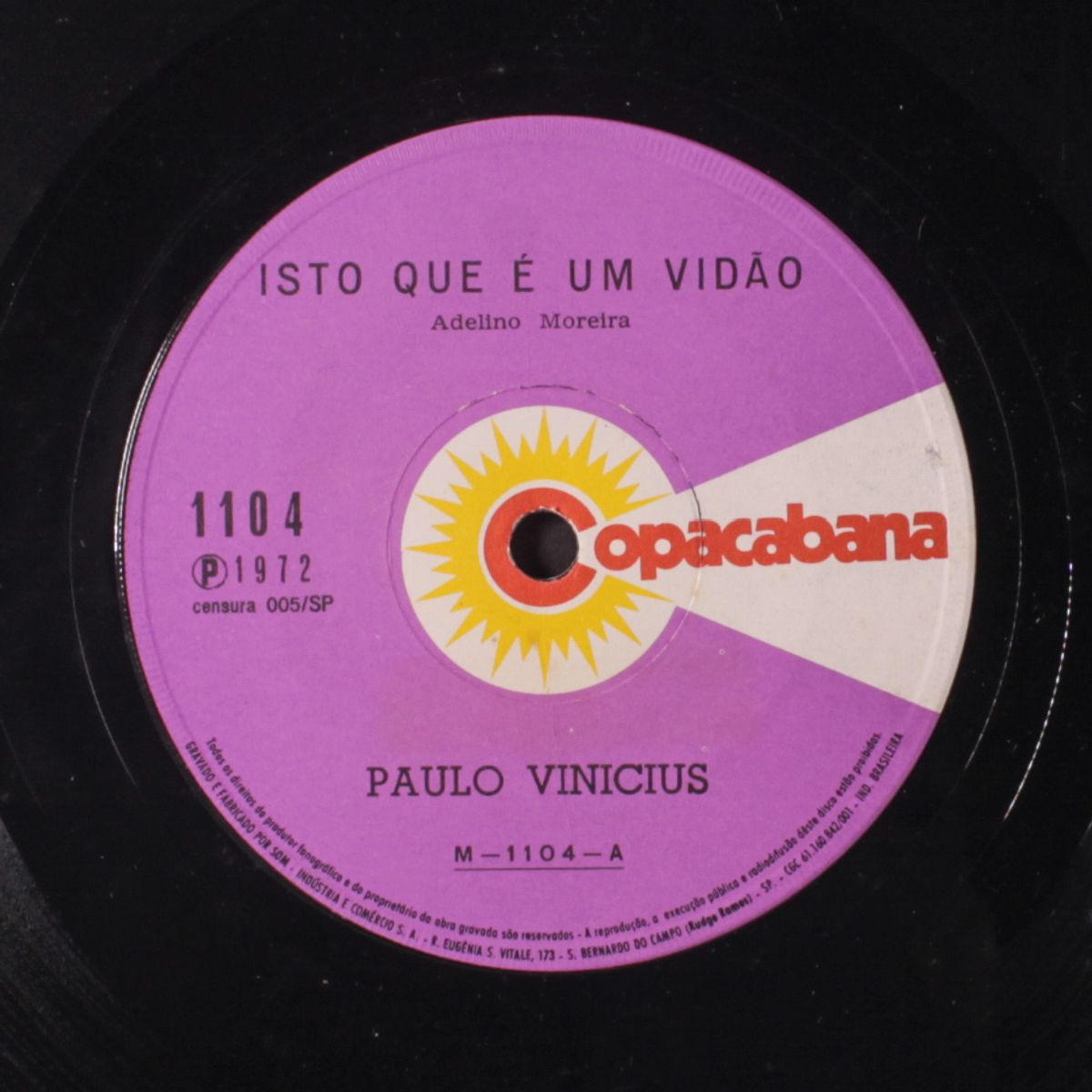 isto que e um vidao / seu castigo by PAULO VINICIUS