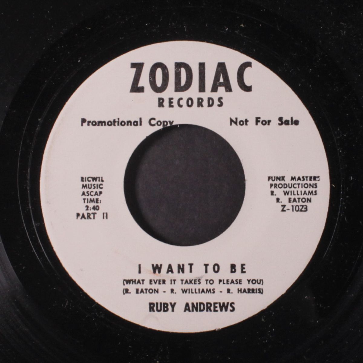 i want to be (what ever it takes to please you) / part 2 by RUBY ANDREWS