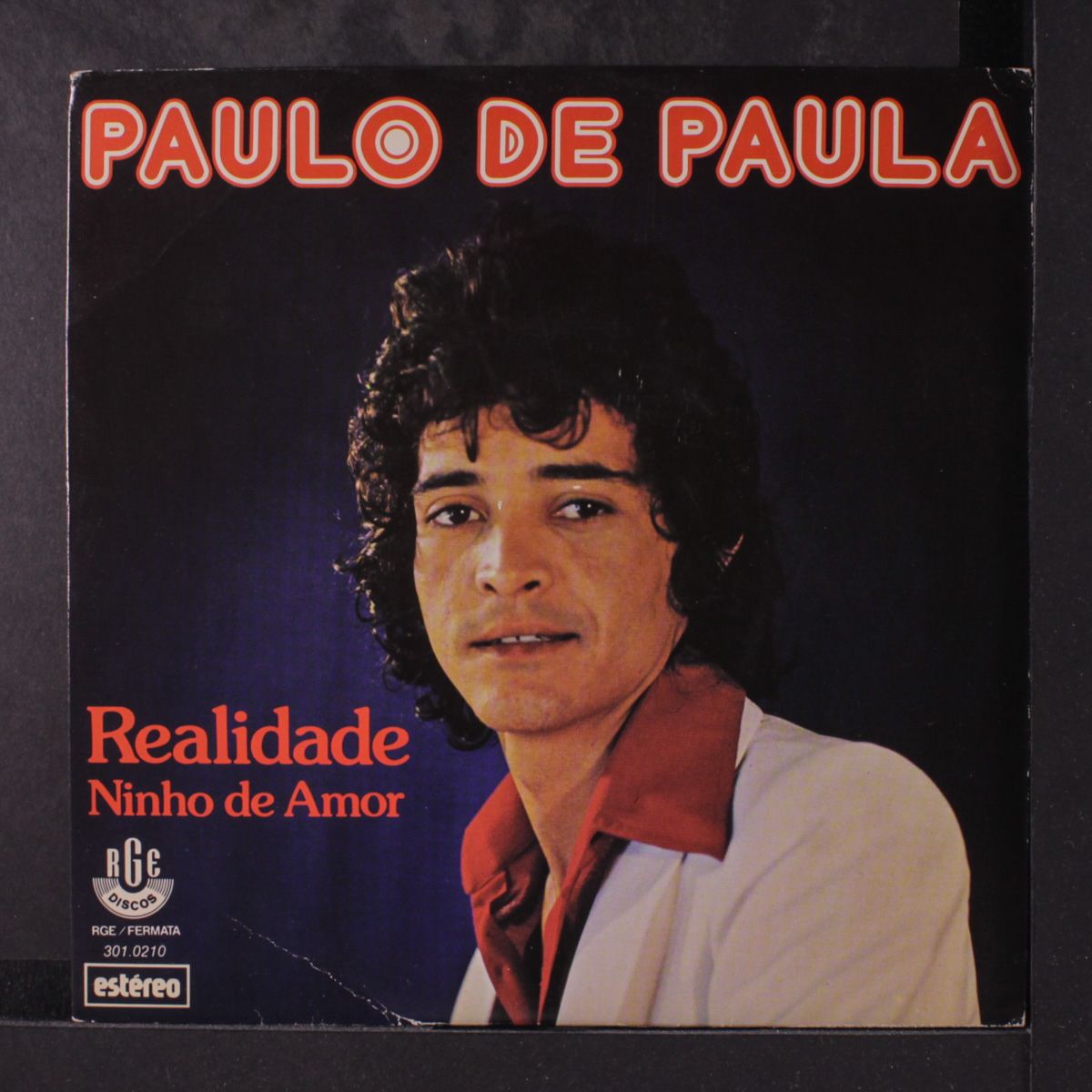 realidade / ninho de amor by PAULO DE PAULA