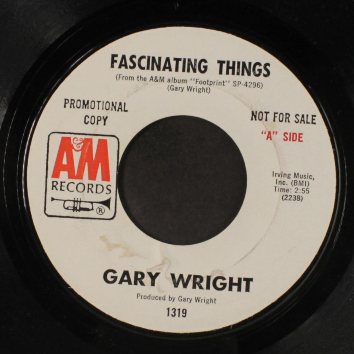 fascinating things by GARY WRIGHT
