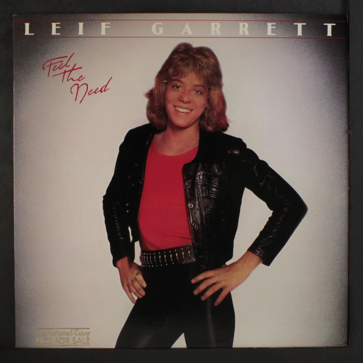 feel the need by LEIF GARRETT