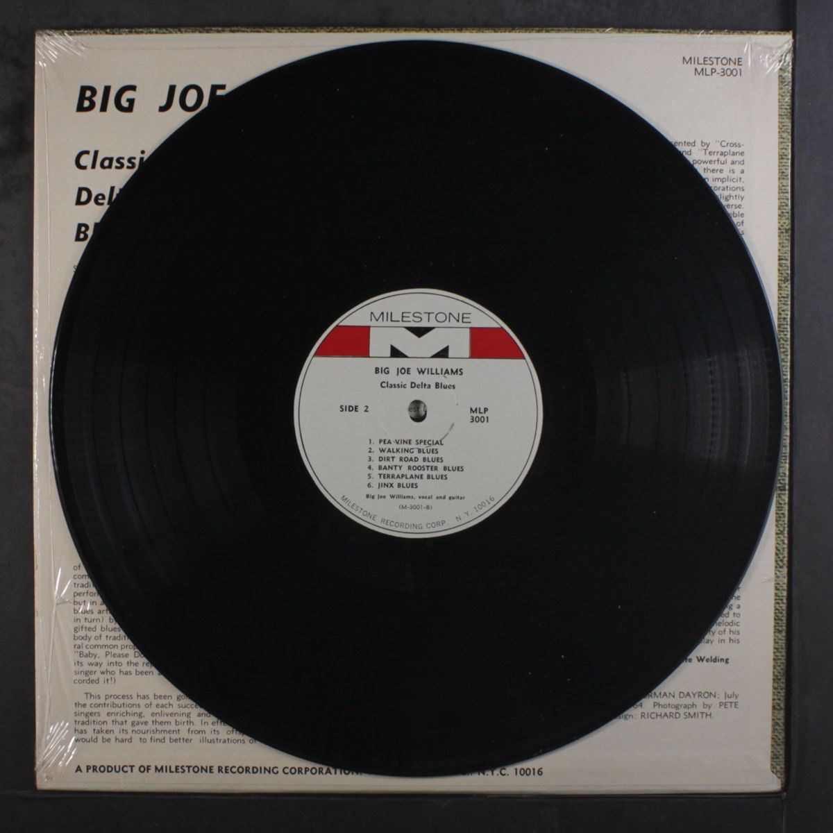 classic delta blues by BIG JOE WILLIAMS
