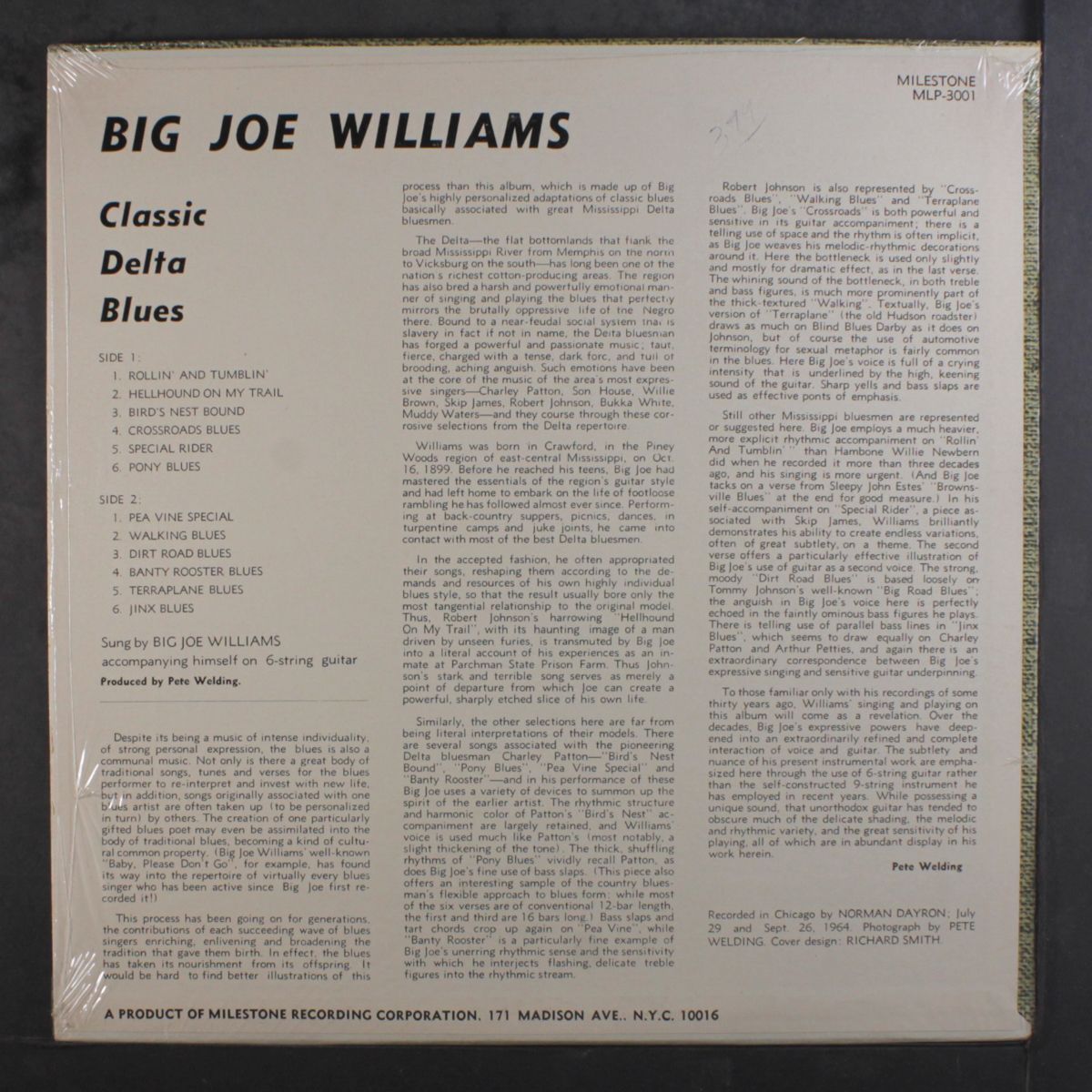 classic delta blues by BIG JOE WILLIAMS