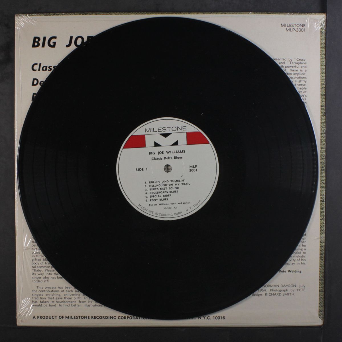 classic delta blues by BIG JOE WILLIAMS