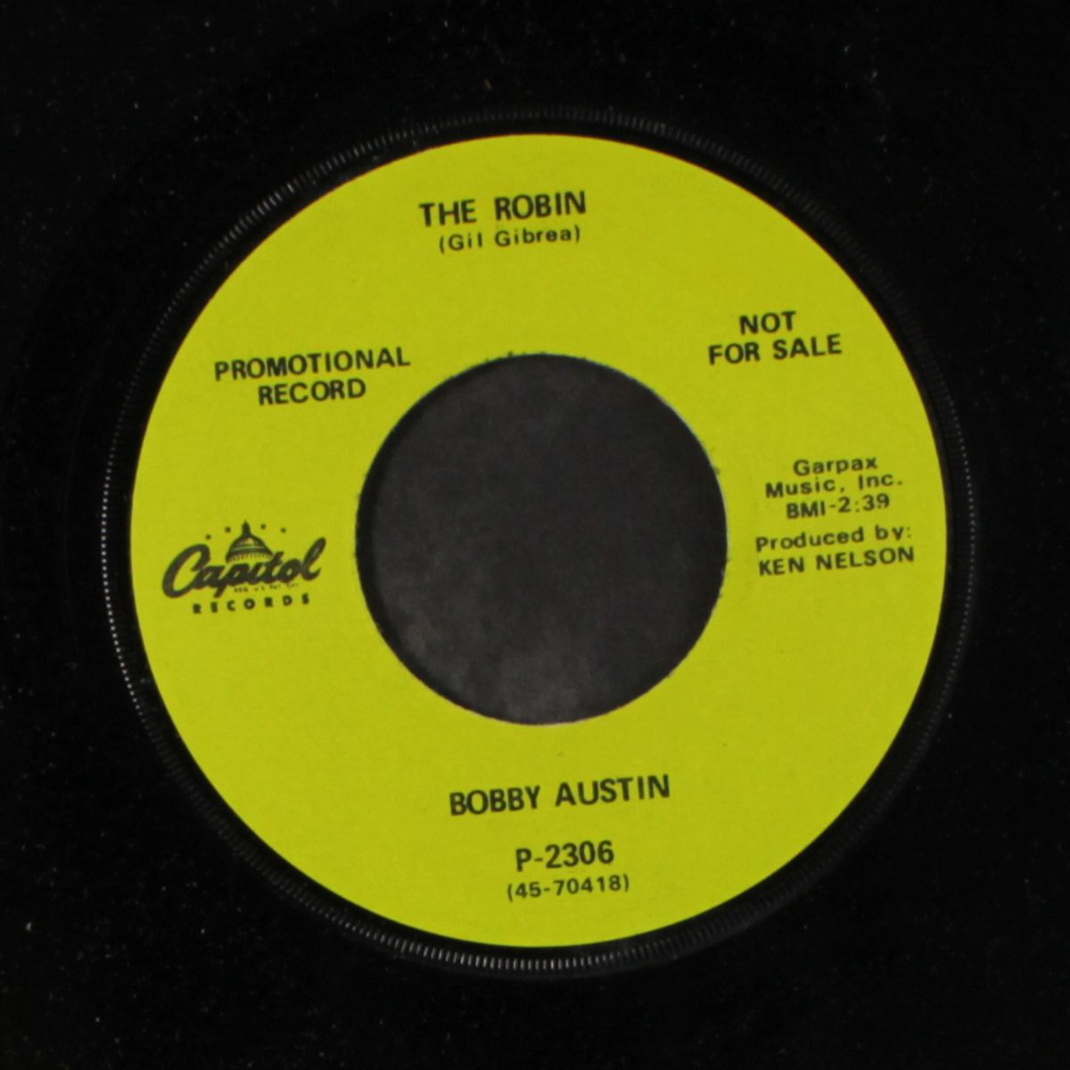 the robin / ten years ago by BOBBY AUSTIN