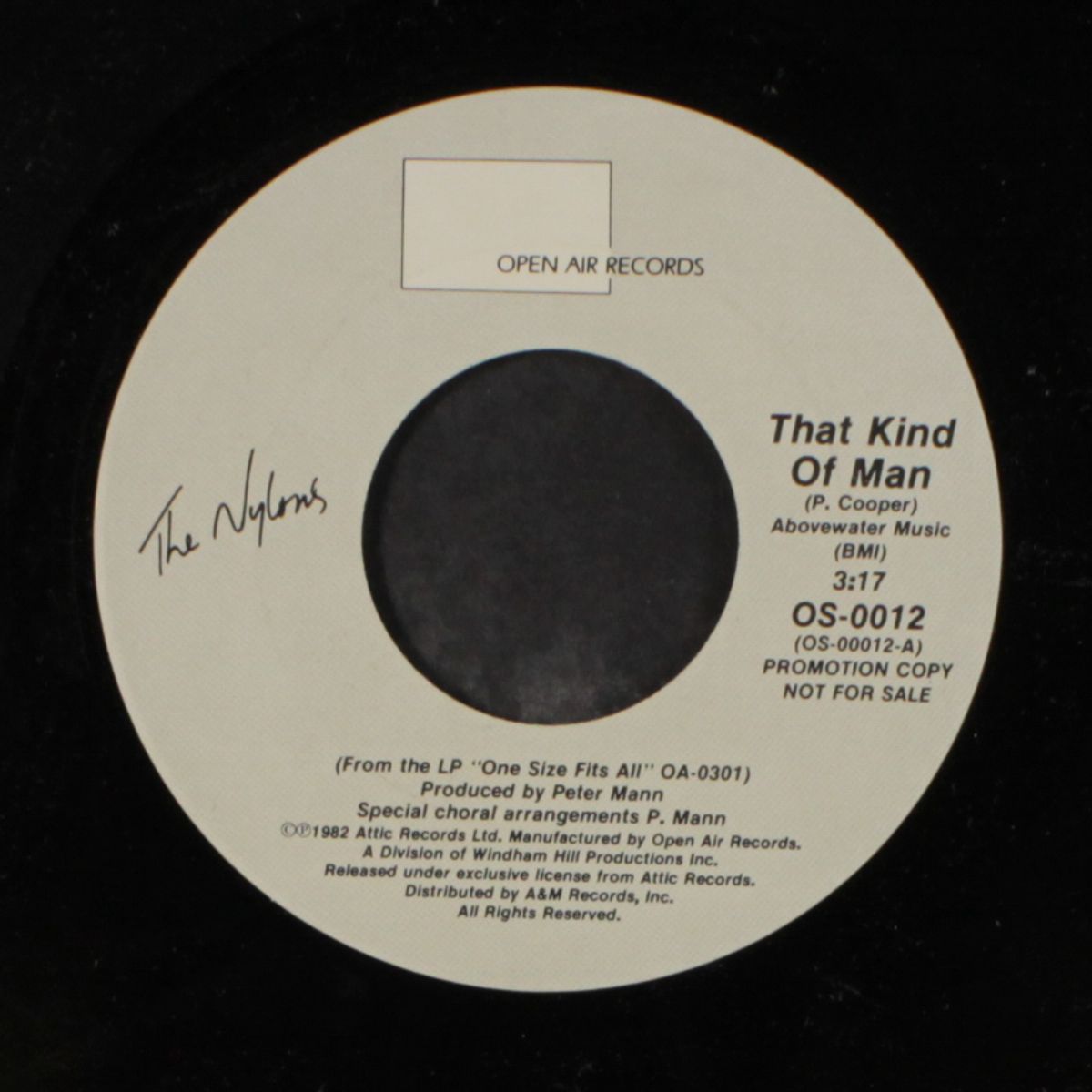 that kind of man / same by NYLONS