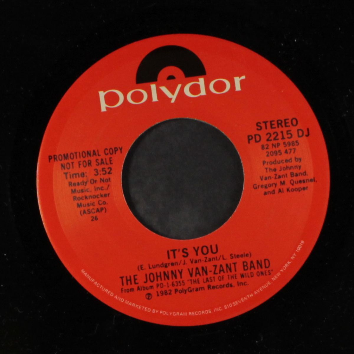 it's you / same by JOHNNY VAN ZANT BAND