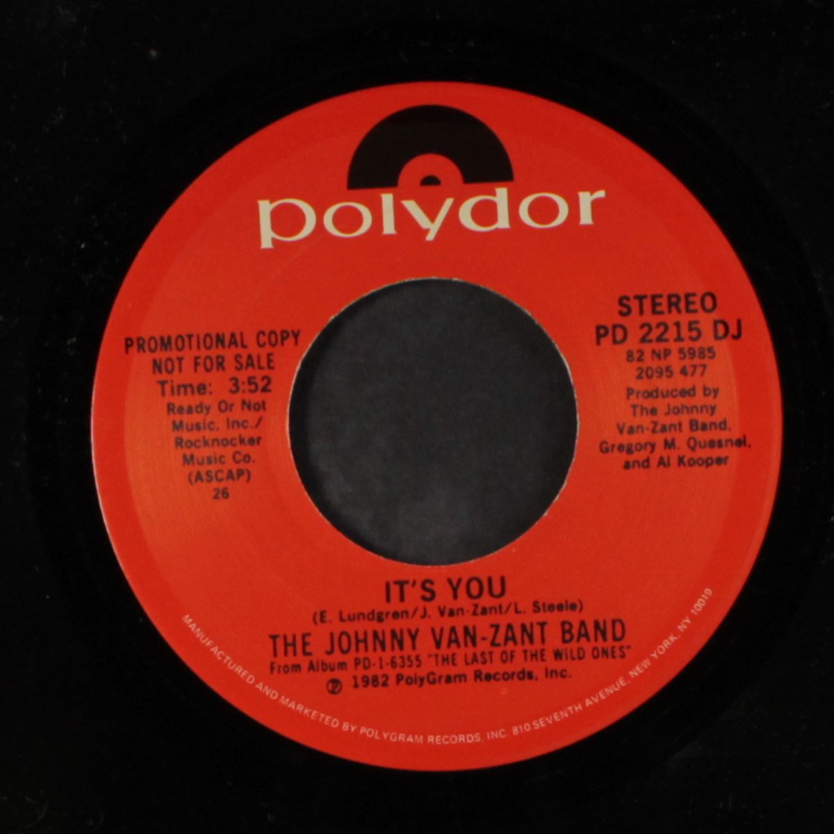 it's you / same by JOHNNY VAN ZANT BAND