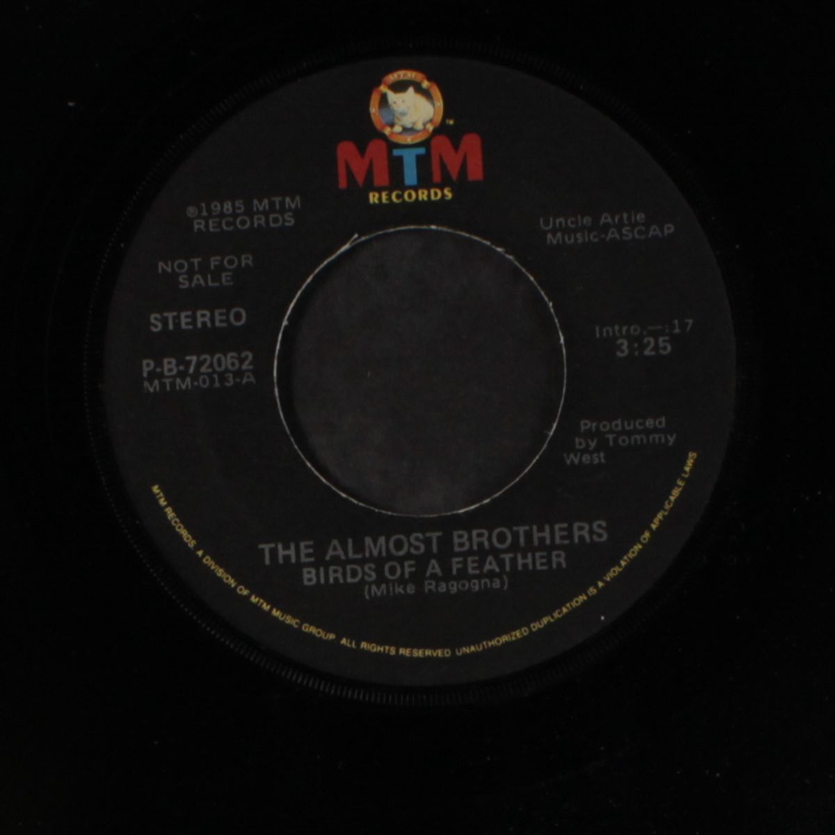 birds of a feather by ALMOST BROTHERS