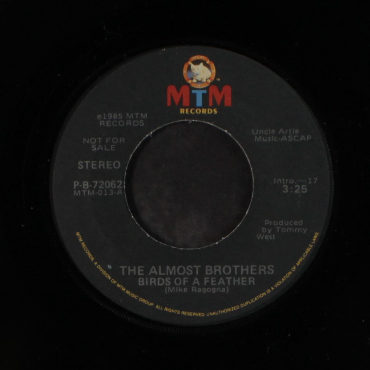 birds of a feather by ALMOST BROTHERS