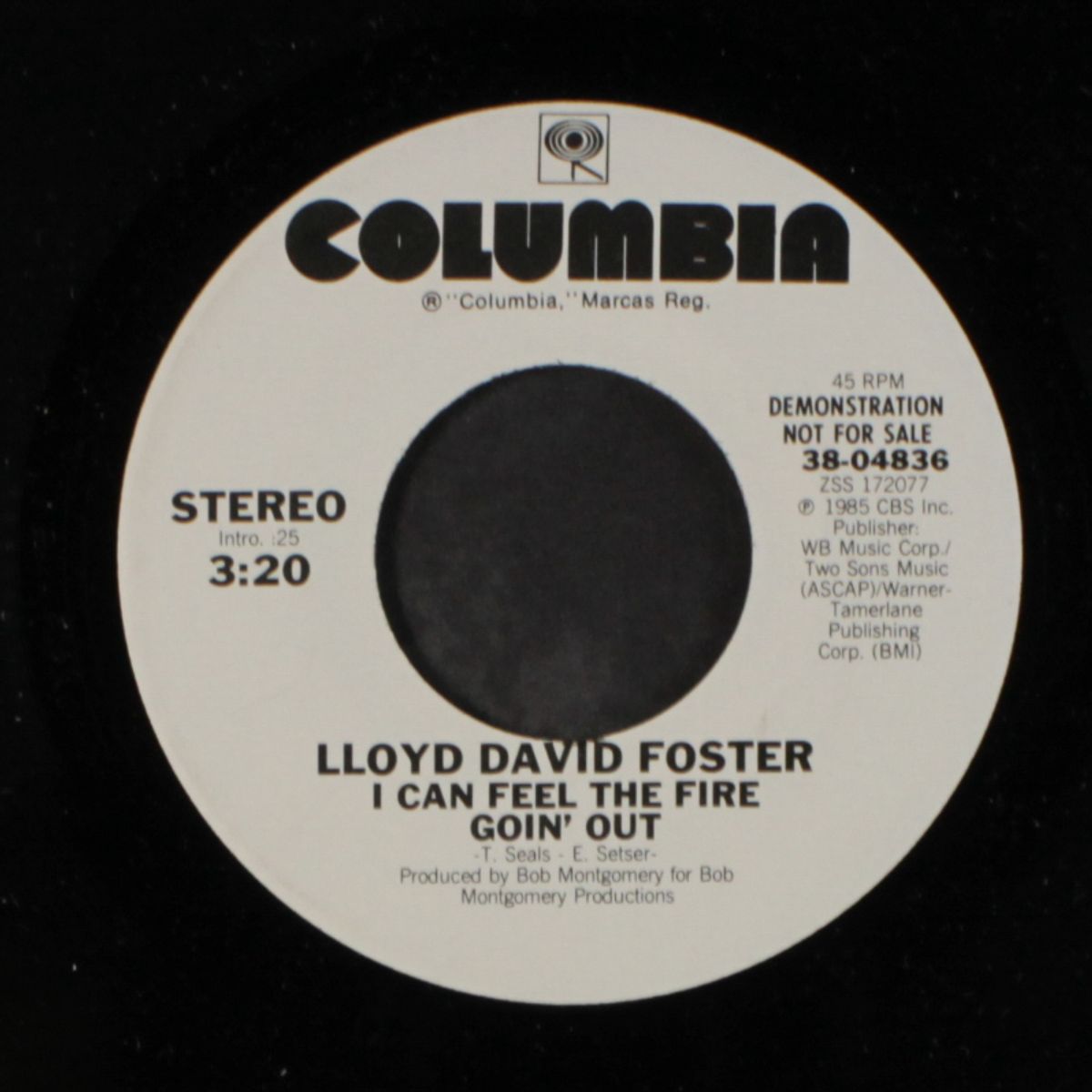 i can feel the fire goin' out by LLOYD DAVID FOSTER
