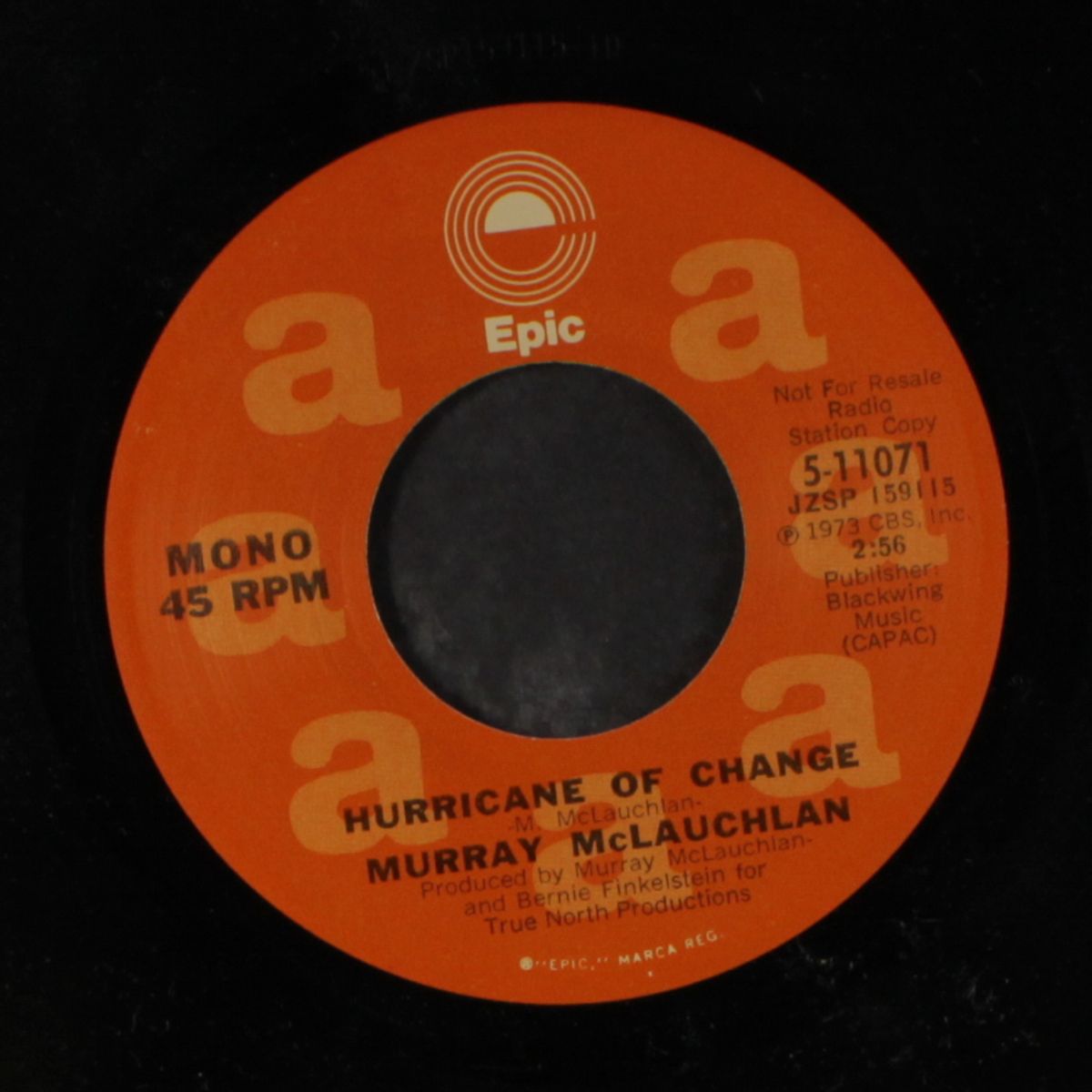 hurricane of change / mono by MURRAY MCLAUCHLAN
