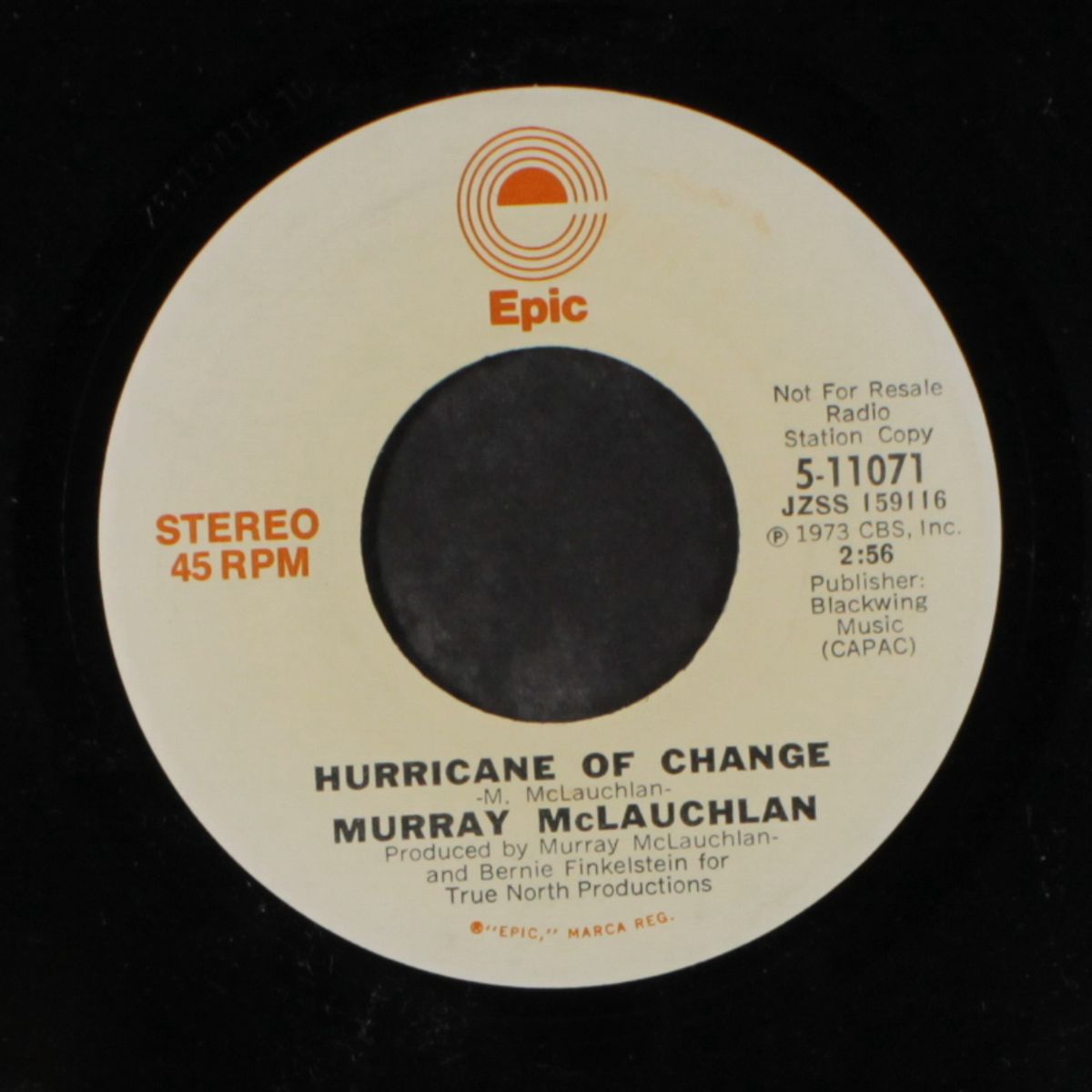 hurricane of change / mono by MURRAY MCLAUCHLAN