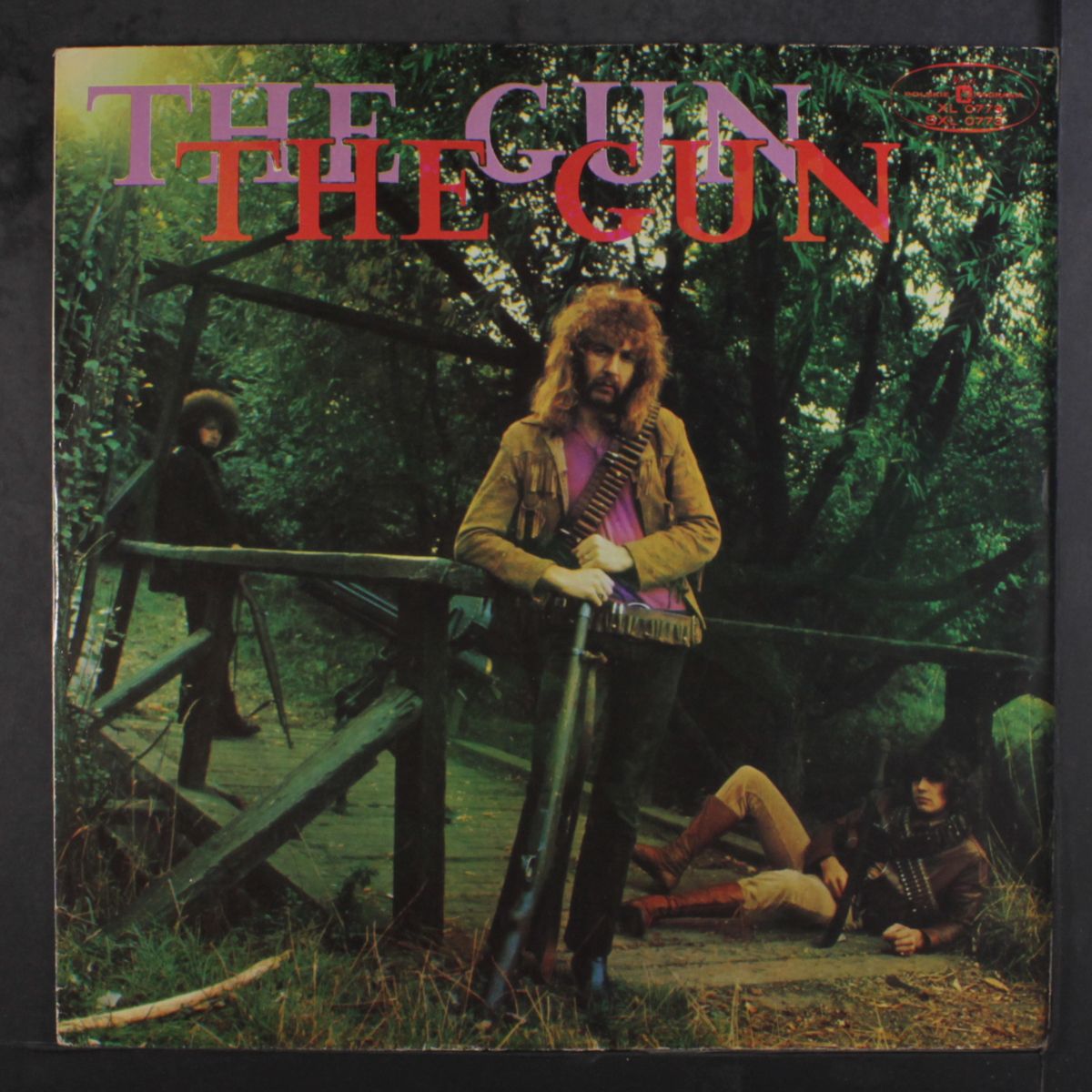 the gun by GUN