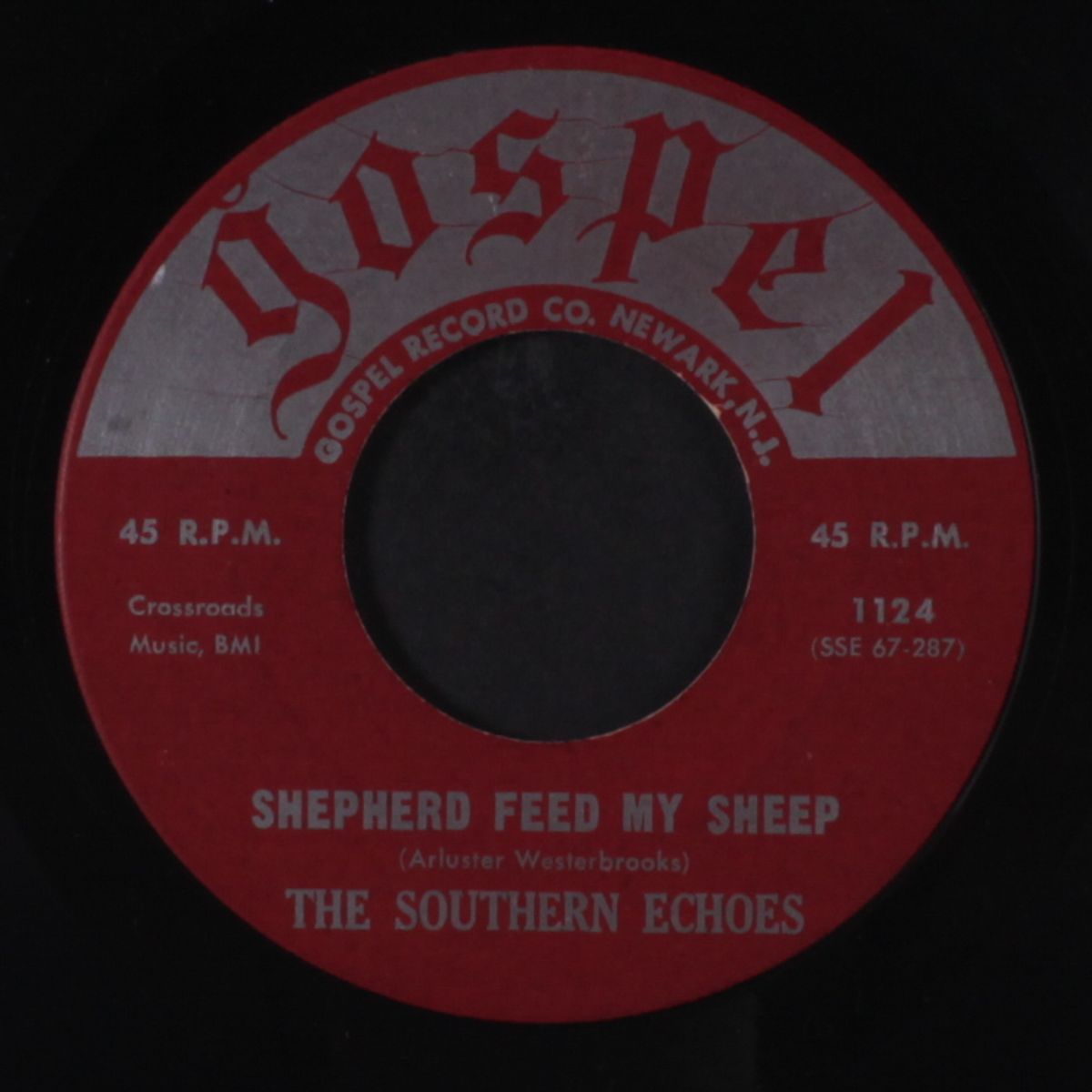 joy / shepherd feed my sheep by SOUTHERN ECHOES