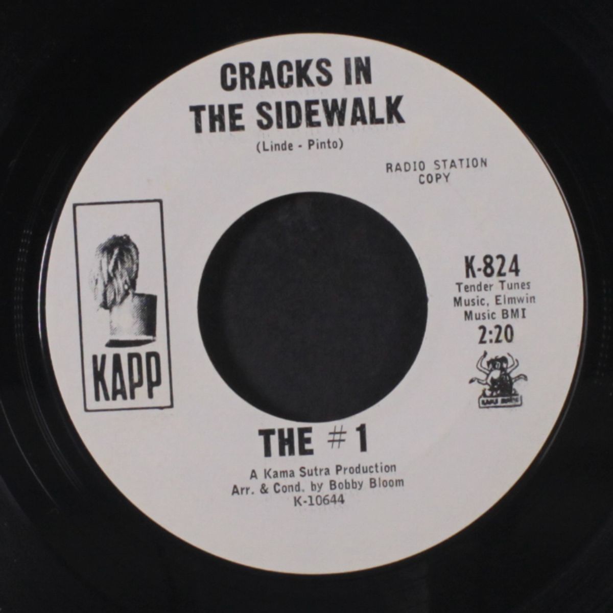 cracks in the sidewalk / the collector by #1