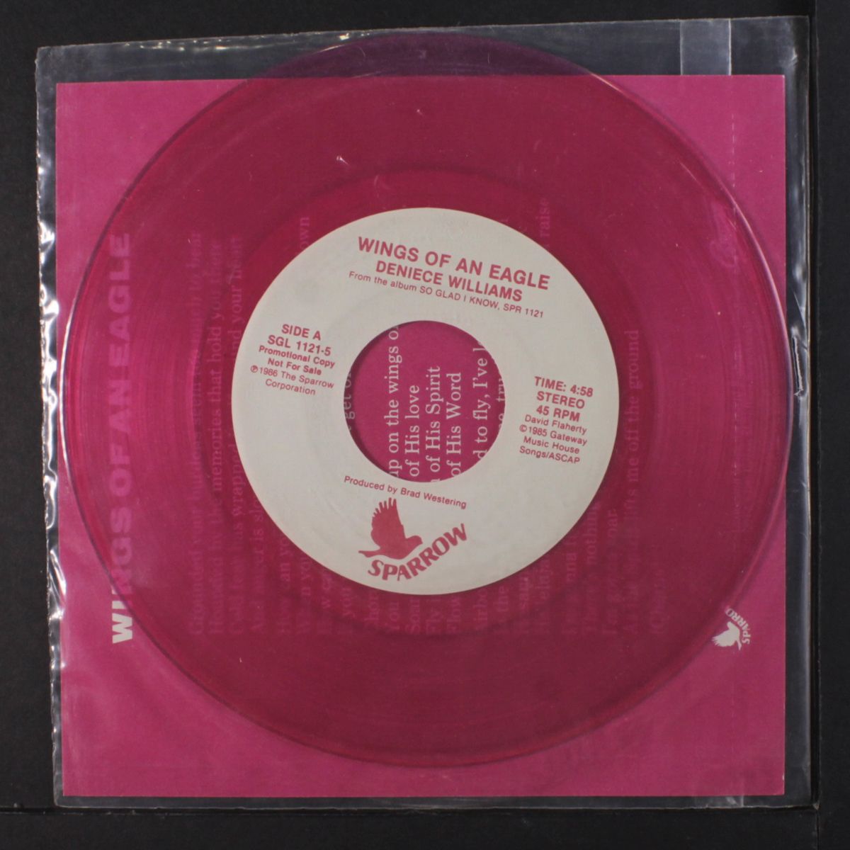 wings of an eagle by DENIECE WILLIAMS
