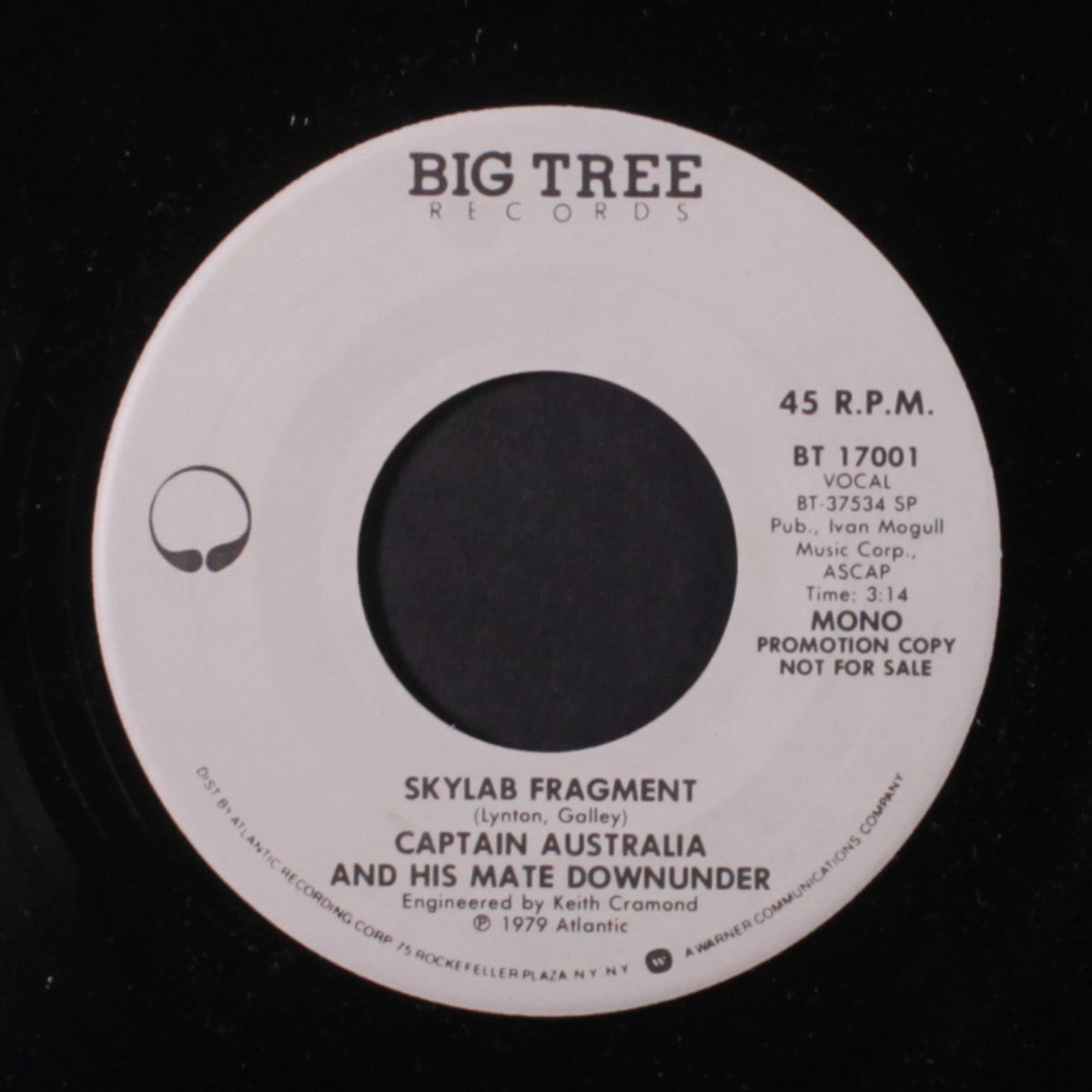 skylab fragment / mono by CAPTAIN AUSTRALIA & HIS MATE DOWNUNDER