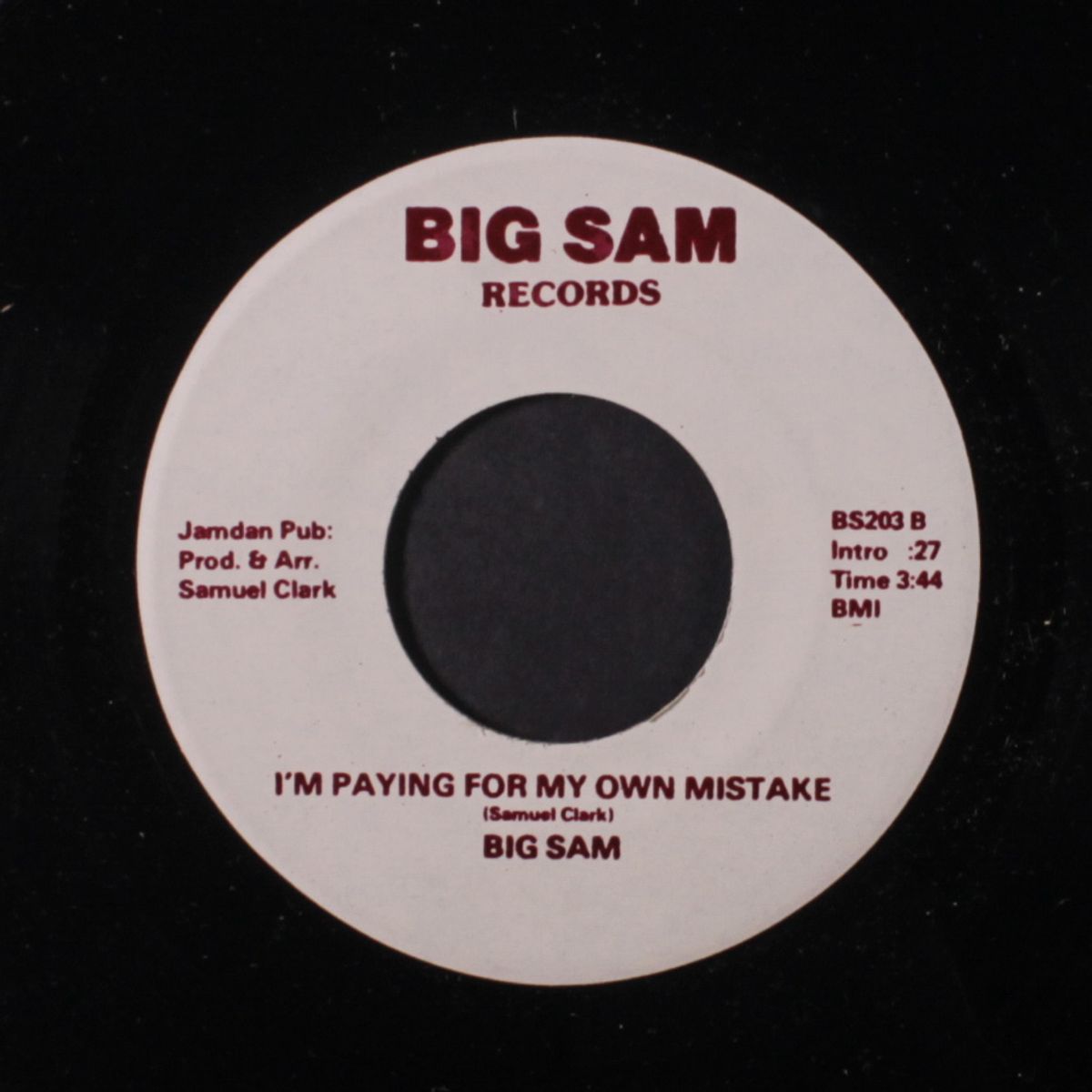there's a reason / i'm paying for my own mistake by BIG SAM