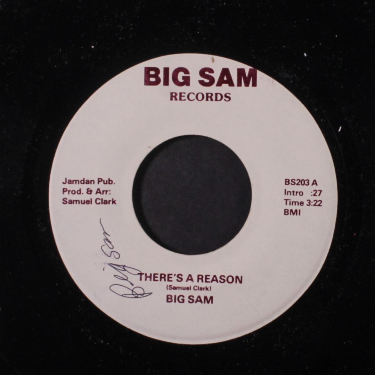 there's a reason / i'm paying for my own mistake by BIG SAM