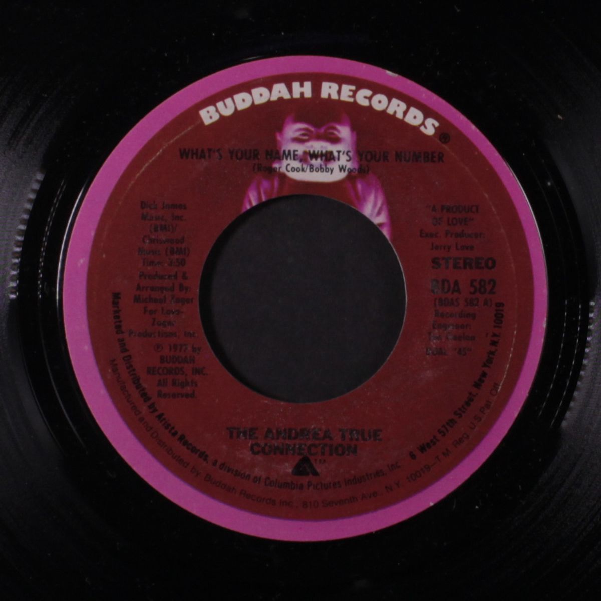 what's your name, what's your number by ANDREA TRUE CONNECTION