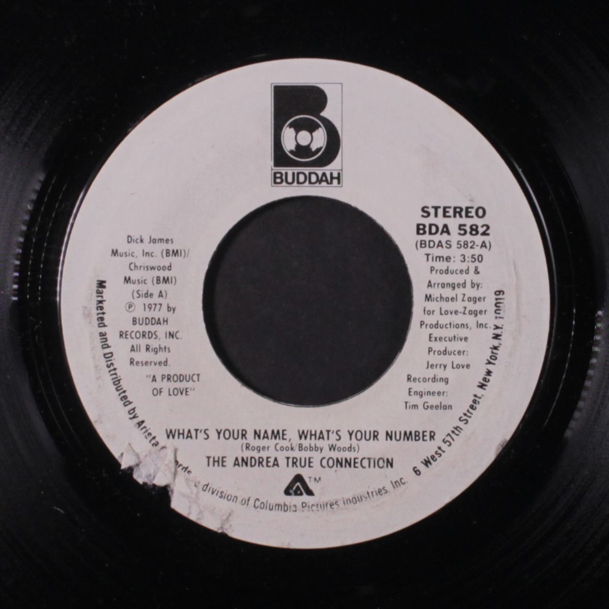 what's your name, what's your number by ANDREA TRUE CONNECTION