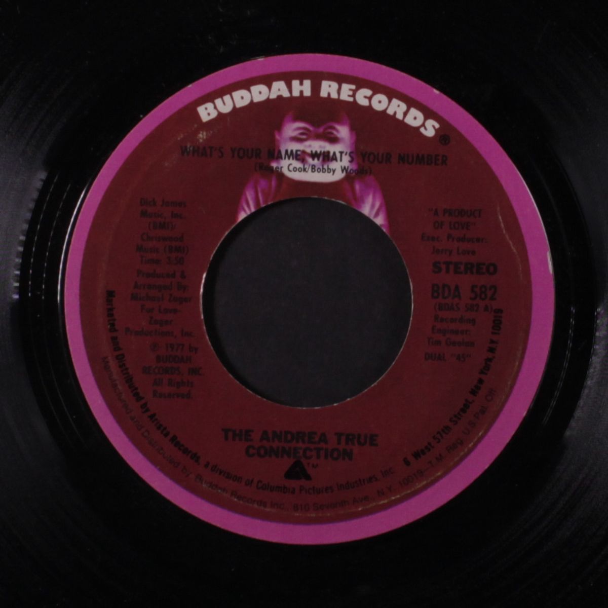 what's your name, what's your number by ANDREA TRUE CONNECTION